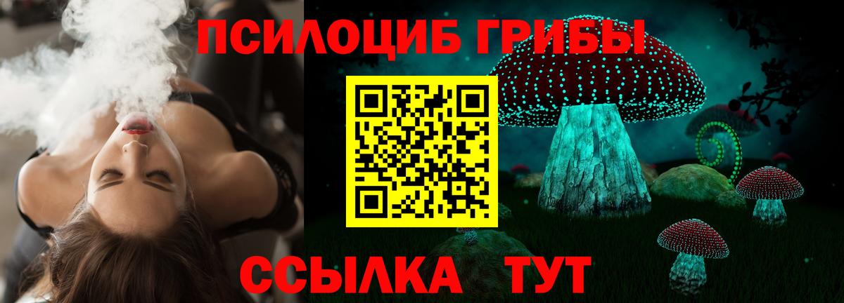 Псилоцибиновые грибы Cubensis Чайковский