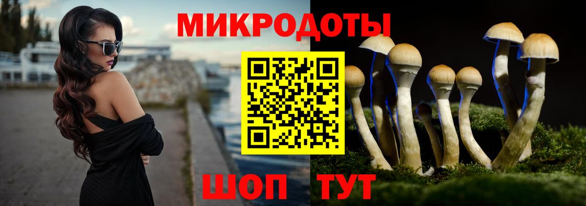 Псилоцибиновые грибы Magic Shrooms  Псилоцибиновые грибы мицелий  Вход с VPN  Чайковский 
